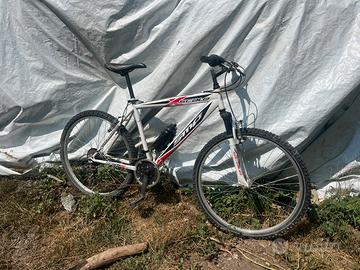 Bici scott scale