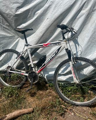Bici scott scale