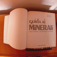 Giuda ai minerali
