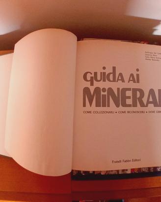 Giuda ai minerali