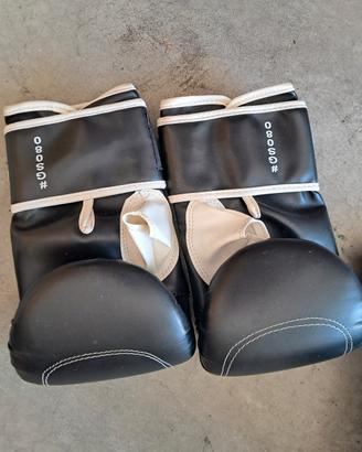 guantoni boxe Leone