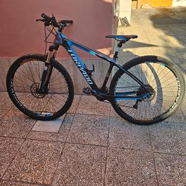 TORPADO 29 RIBOT CARBONIO 