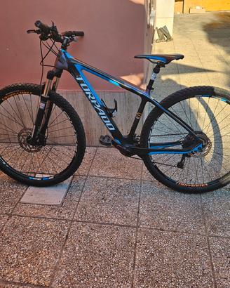 TORPADO 29 RIBOT CARBONIO 