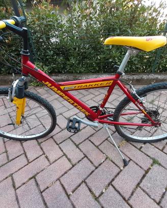 Bici mountain bike ragazzo/a