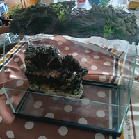Acquario per tartarughe
