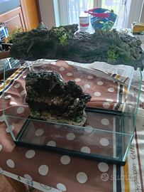 Acquario per tartarughe