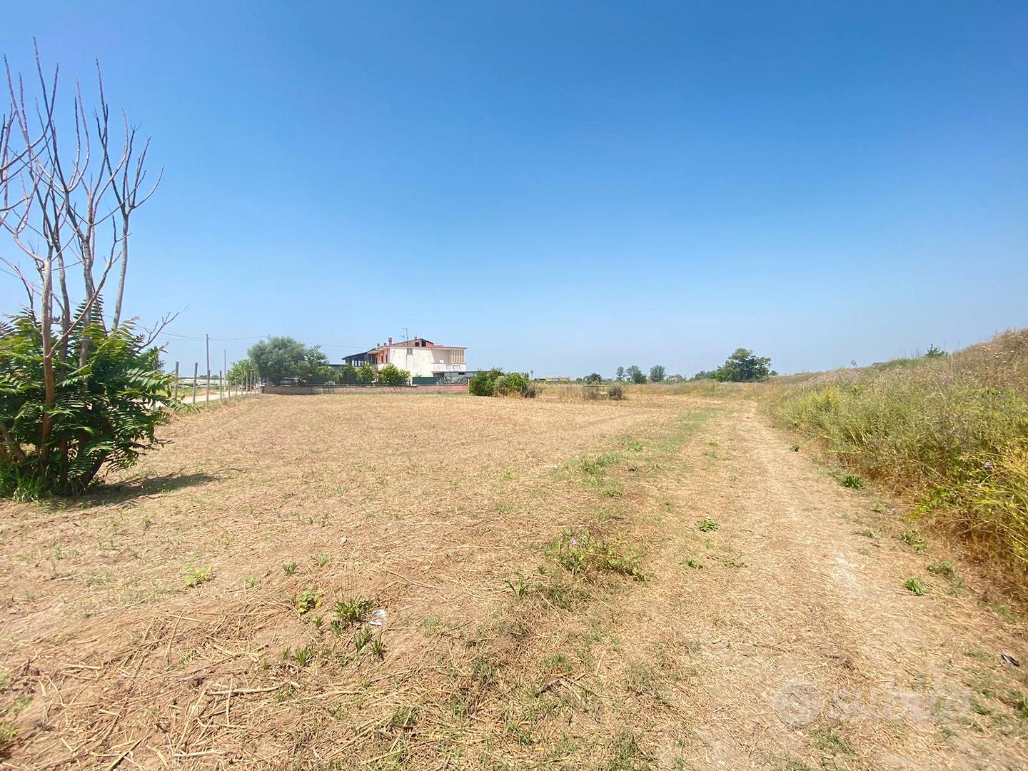 3Terreni Agricoli Via Arco Sant'Antonio FL288 - Altro