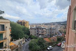 Via Regina Elena, Salita Ogliastri, luminoso 4