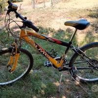 Bicicletta mountain bike