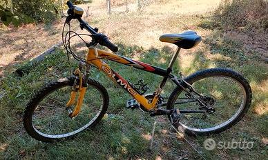 Bicicletta mountain bike