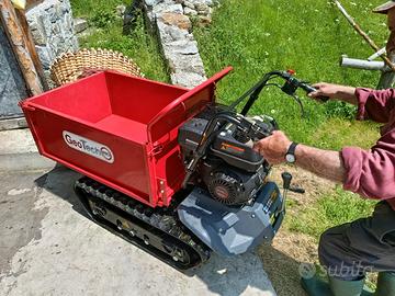 Motocariola Geoporter da 500kg anno 2024
