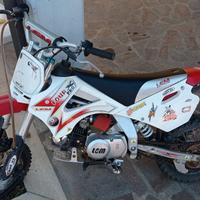 Lem Altro modello - 2008