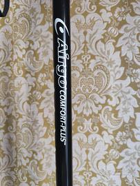 bastone da passeggio 