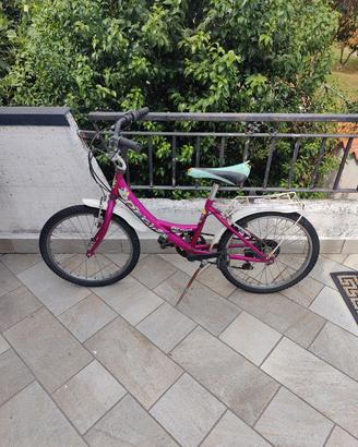 Bicicletta Bambina raggio 20 