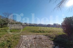Terreno Agricolo Sant'Angelo d'Alife