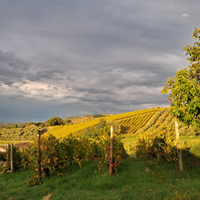 Operai/ Braccianti agricoli