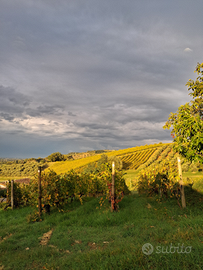 Operai/ Braccianti agricoli
