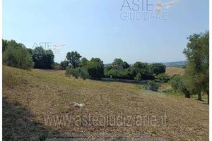 Magazzino Loreto [A4346289]
