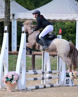 Pony da salto