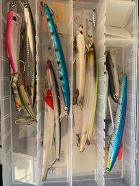 Stock minnow
