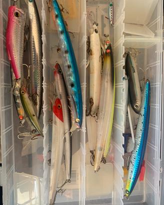 Stock minnow