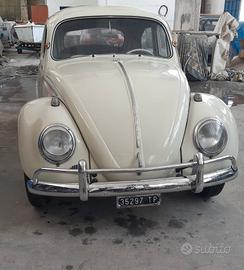 Volkswagen maggiolino 