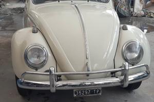 Volkswagen maggiolino 