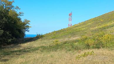 Terreno con bosco e vista. Un sogno realizzato
