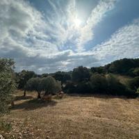 Località Enas lotto edificabile