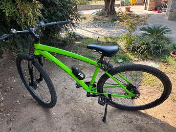 Bicicletta CASADEI