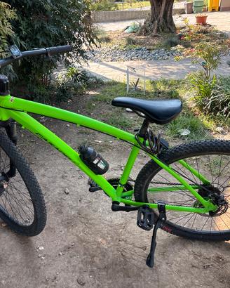 Bicicletta CASADEI