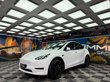 Tesla Model Y RWD (050)