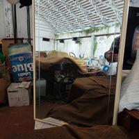 Specchio da bagno o corridoio