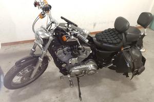 H-D Sportster 883 (2009) - Stage1 e doppio disco