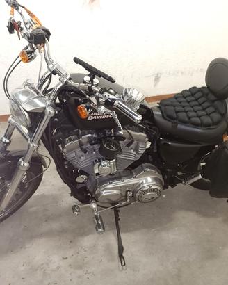 H-D Sportster 883 (2009) - Stage1 e doppio disco