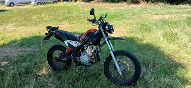 250 scrambler