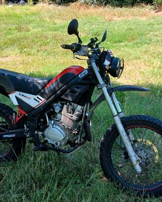 250 scrambler