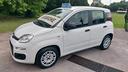 fiat-panda-1-2-gpl