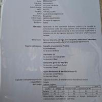 Lavapiatti o aiutococo