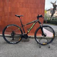 Bottecchia FX116 29" usata uomo
