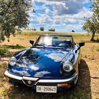duetto alfa romeo spider 