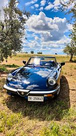 duetto alfa romeo spider 