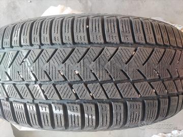 Gomme invernali 
