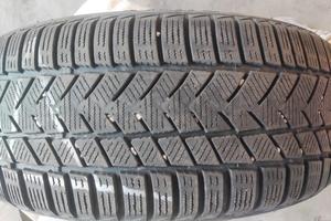 Gomme invernali 