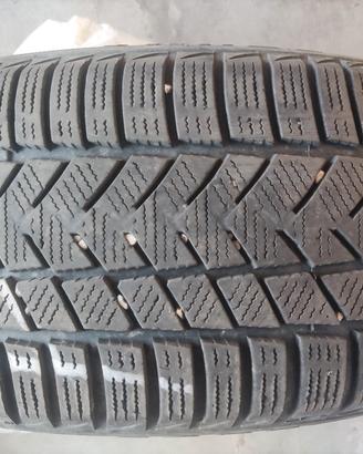 Gomme invernali 