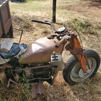 Moto Guzzi Altro modello - Anni 50