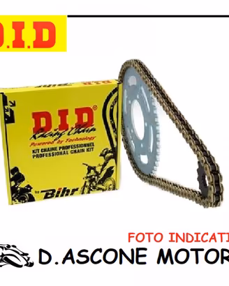 Kit Catena Hond X-750 2017 2022
