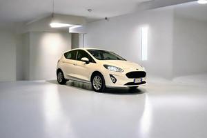 Ford Fiesta 5p 1.5 ecoblue Business 85cv my20.75