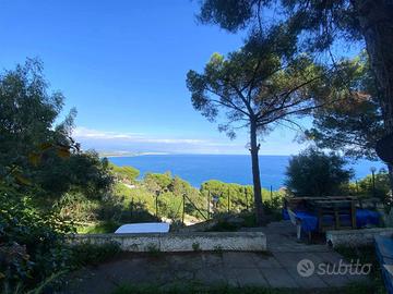 Rif.RI59| appartamento monolocale