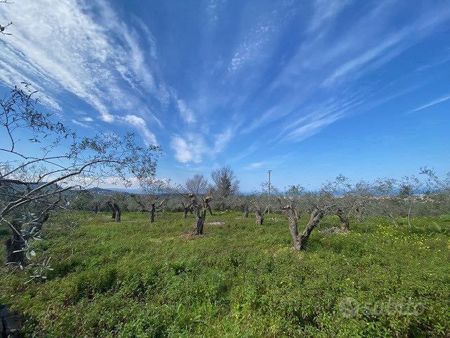 Terreno Agricolo Barcellona Pozzo di Gotto - Vista 5